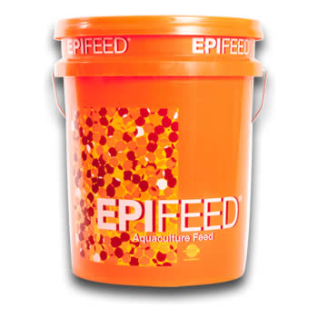 Epifeed