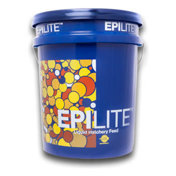 Epilite