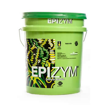 Epizym-BGM - Epicore - Megasupply