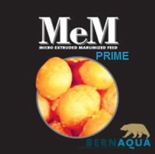 MeM Prime MeM Prime