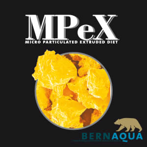 Mpex - Bernaqua - Megasupply