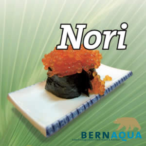 Nori