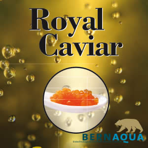 Royal Caviar Royal Caviar