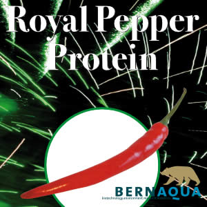 Royal Pepper Protein Royal Pepper Protein