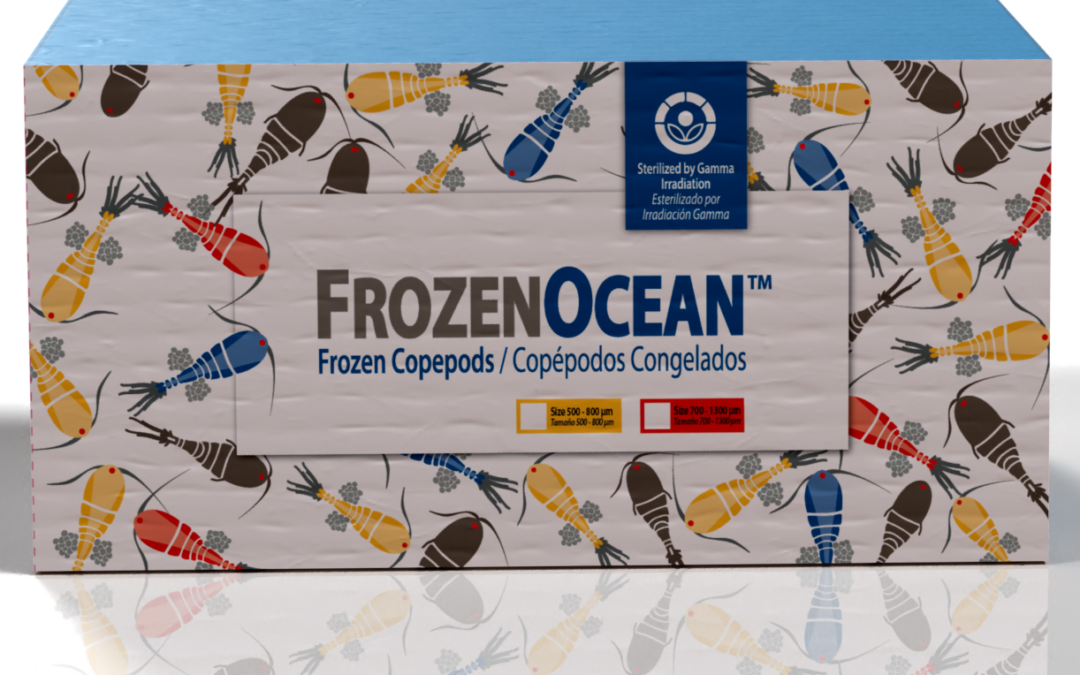 Copepodos Bioseguros Esterilizados – Frozen Ocean