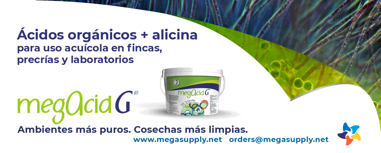BannerMegacidG-all1240x500octubre2024