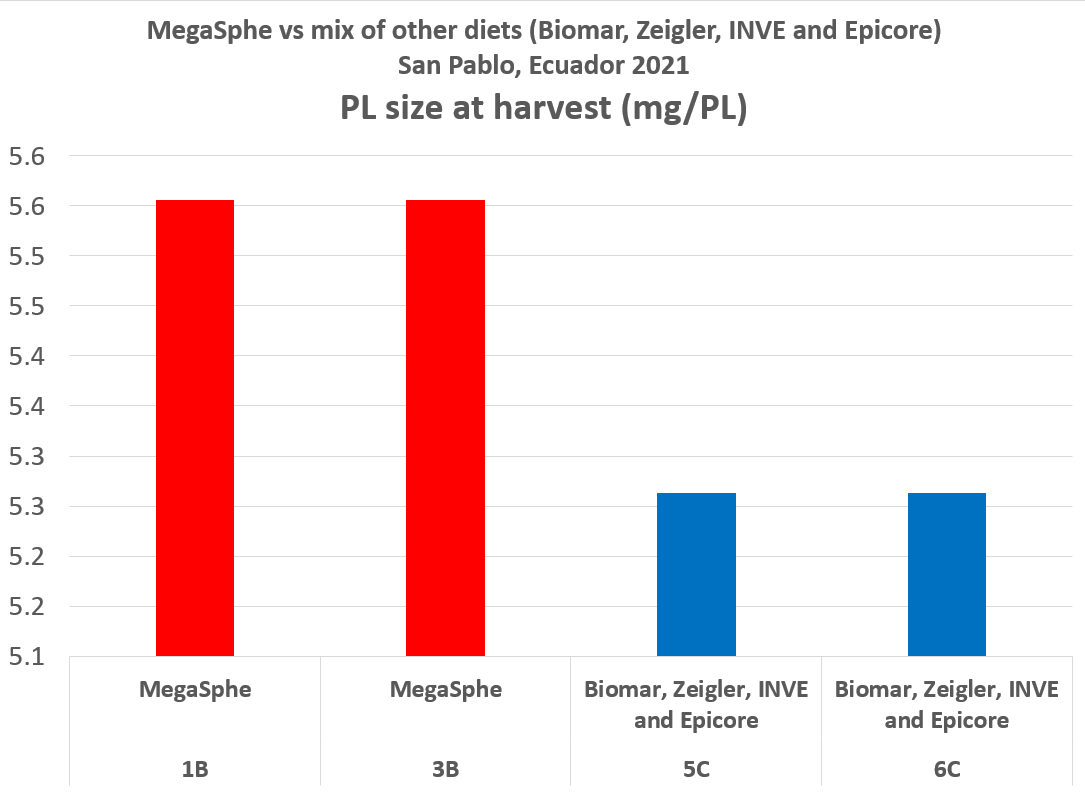 MegaSphe vs others-Ecuador-PL size
